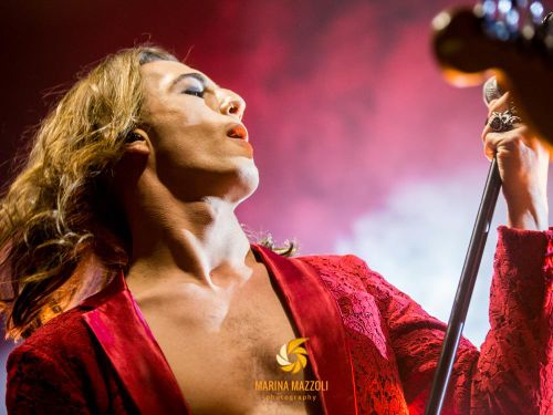 Maneskin ancora in vetta: più di 14 milioni di ascolti nel mondo in due giorni su Spotify