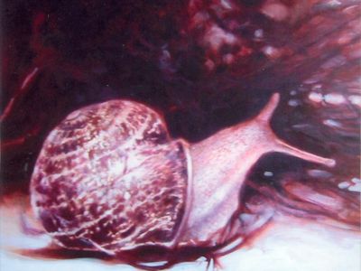 Current 93: anche Nick Cave e John Zorn tra gli ospiti del nuovo album 