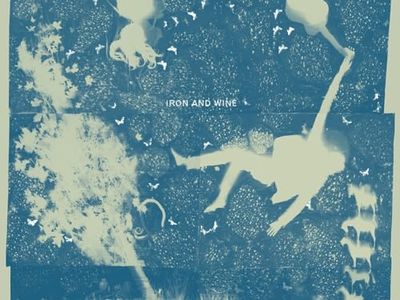 LIGHT VERSE Iron and Wine