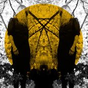 Austra - FEEL IT BREAK