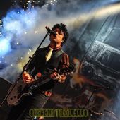 10 gennaio 2017 - PalaAlpitour - Torino - Green Day in concerto