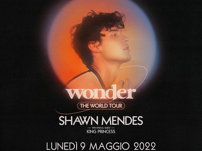 Shawn Mendes e la salute mentale: &quot;Devo annullare il tour&quot;