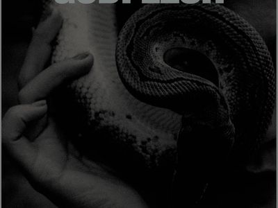 Godflesh: le ultime novità sulla reunion