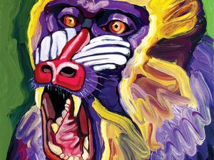 The Observer 2013: riflettori accesi sul Collettivo Ginsberg