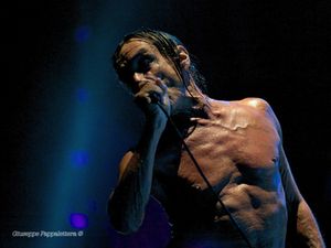 Iggy Pop