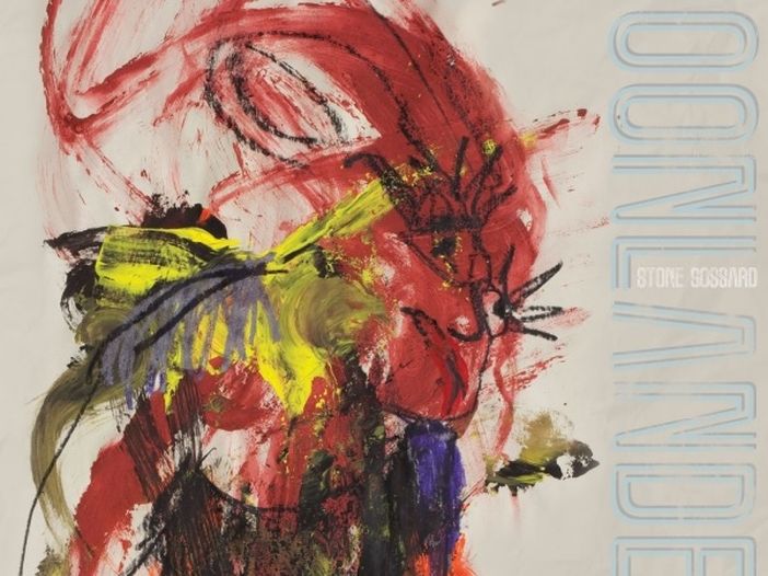 Gossard dei Pearl Jam: 'Mai più festival' Gossard dei Pearl Jam: 'Mai più festival'