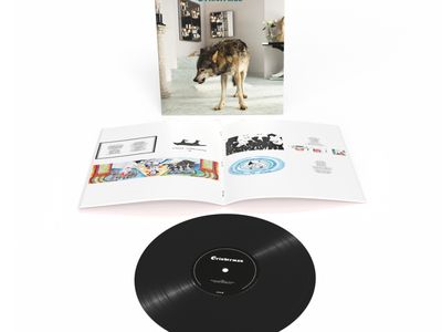 Nick Cave, Grinderman: nuovo album a settembre