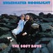 Soft Boys - UNDERWATER MOONLIGHT Soft Boys - UNDERWATER MOONLIGHT