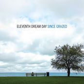 Eleventh Dream Day - SINCE GRAZED
