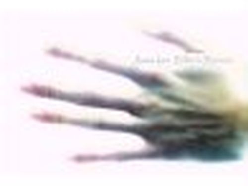 Tornano nei negozi i vecchi dischi di Janis Ian