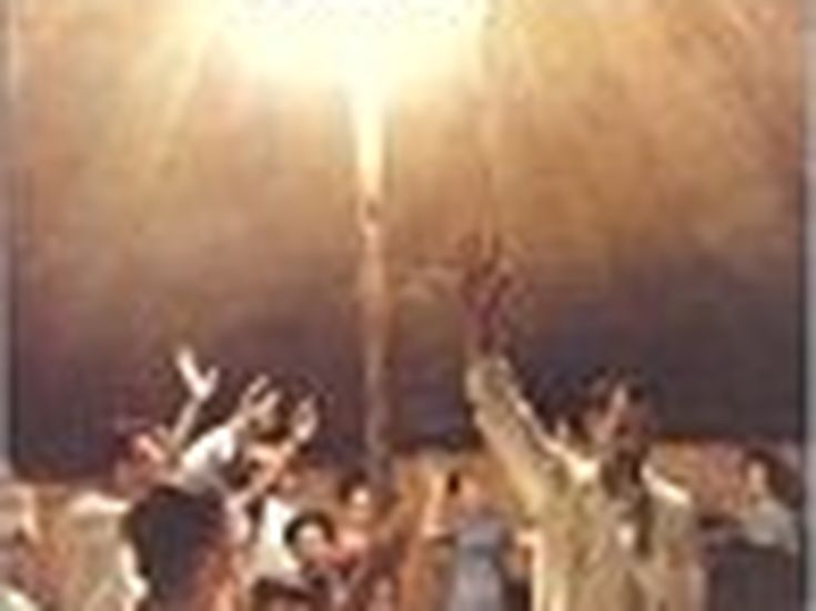 THE BETTER BUTTON Mink Lungs