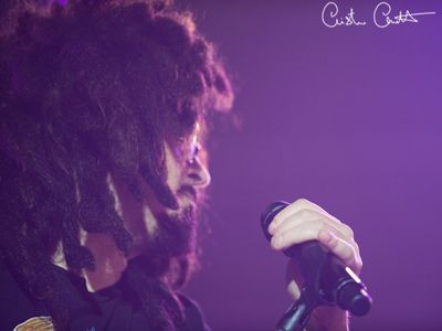 I Counting Crows regalano musica su BitTorrent: &apos;E&apos; la nuova radio&apos; 