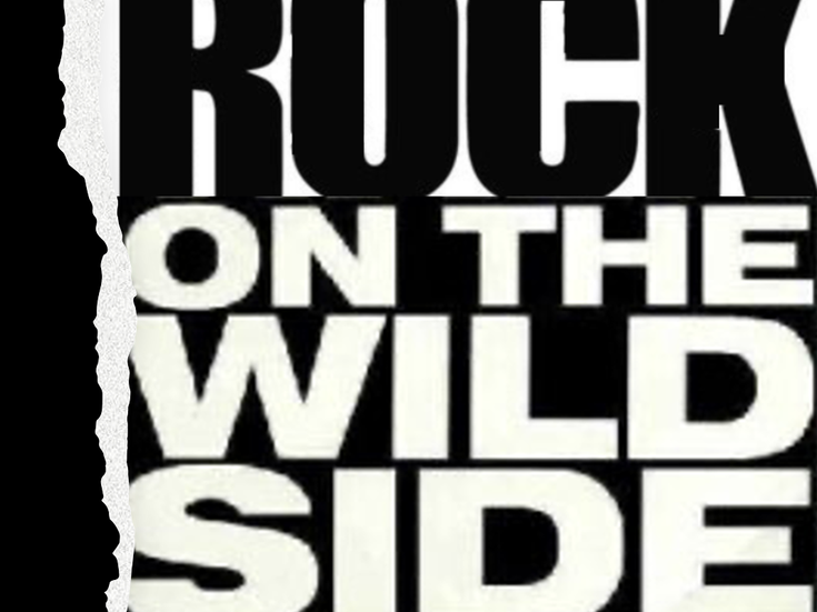 Rock on the wild side