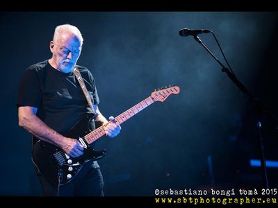 David Gilmour