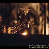 13 luglio 2016 - Lucca Summer Festival - Piazza Napoleone - Lucca - Vinicio Capossela in concerto