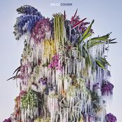 Wilco - COUSIN