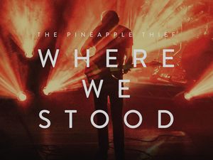 Pineapple Thief
