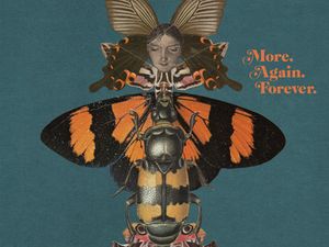 Download gratis di una canzone del nuovo CD dei Courteneers (Top 5 in UK)