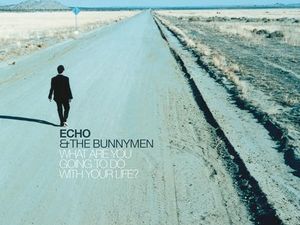 Echo and the Bunnymen: nuova musica ai fan grazie a un&apos;applicazione per iPhone