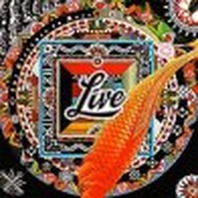 THE DISTANCE TO HERE Live