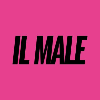 IL MALE  Zen Circus