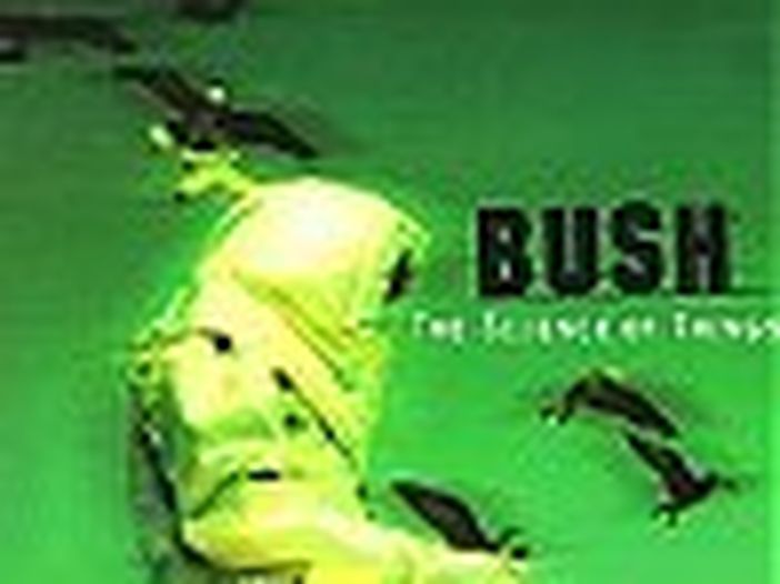 Bush, nuovo album in arrivo nel 2014 