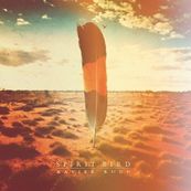 Xavier Rudd - SPIRIT BIRD
