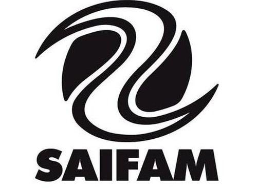 Saifam Group lancia Music Now!
