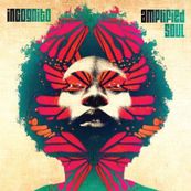 Incognito - AMPLIFIED SOUL