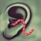 Thee Oh Sees - AN ODD ENTRANCES Thee Oh Sees - AN ODD ENTRANCES