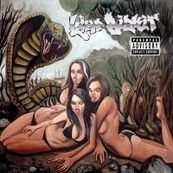 Limp Bizkit - GOLD COBRA