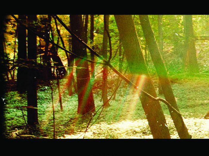 Grammy Awards 2019, c&#039;&egrave; chi dice no: Kendrick Lamar, Childish Gambino e Drake rifiutano di esibirsi agli &#039;Oscar della musica&#039;