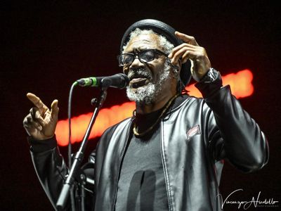 Concerti, a Firenze 3D (Massive Attack) e James Lavelle (UNKLE)