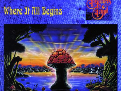 Allman Brothers, concerto a New York per il 30° anniversario