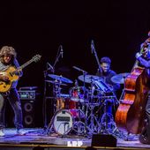 26 novembre 2019 - Teatro EuropAuditorium - Bologna - Pat Metheny in concerto