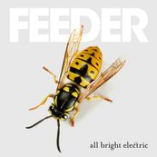 Feeder - ALL BRIGHT ELECTRIC