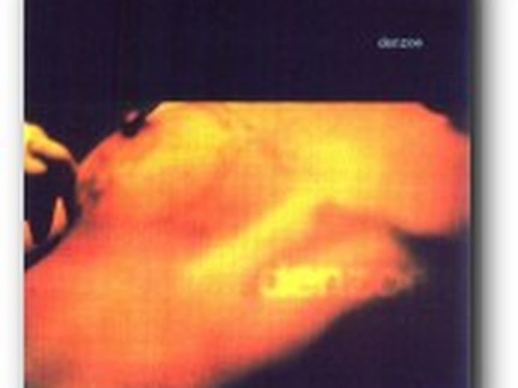 Comunicato Stampa: 'Liberi e Vivi'