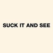 Arctic Monkeys - SUCK IT AND SEE