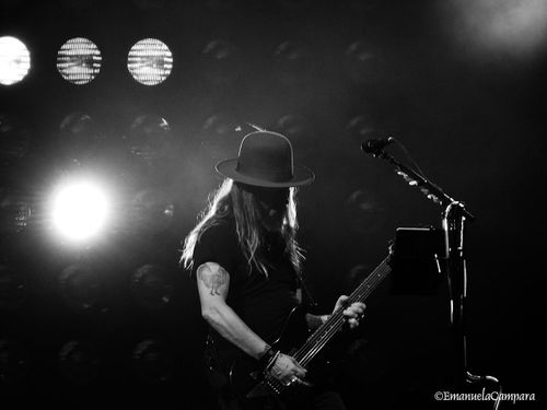 Videogiochi dedicati a Alice in Chains e Ted Nugent (!)
