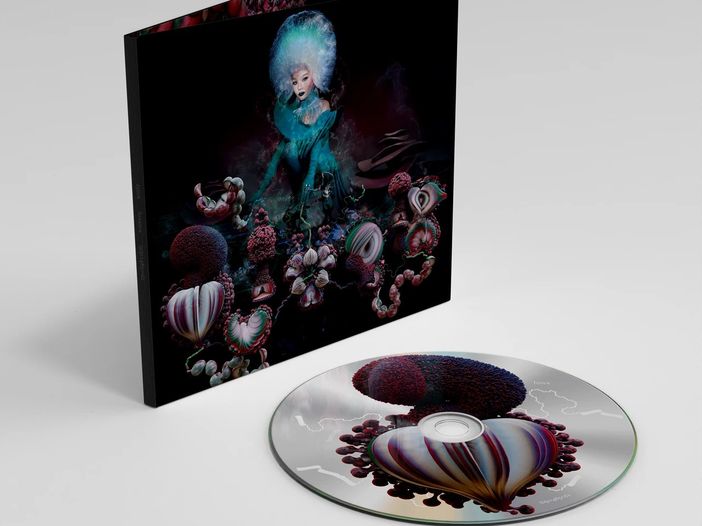 Bjork ‘abbottonata’ in chat Bjork ‘abbottonata’ in chat