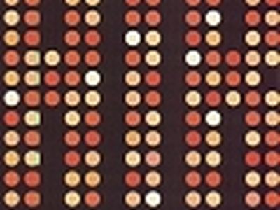 Disco d'esordio per Beth Hirsch, la cantante degli Air