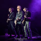 6 dicembre 2022 - Teatro degli Arcimboldi - Milano - Umberto Tozzi in concerto
