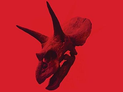 A dicembre un live degli Alice In Chains