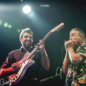 30 ottobre 2015 - Kioene Arena - Padova - Treves Blues Band in concerto 30 ottobre 2015 - Kioene Arena - Padova - Treves Blues Band in concerto