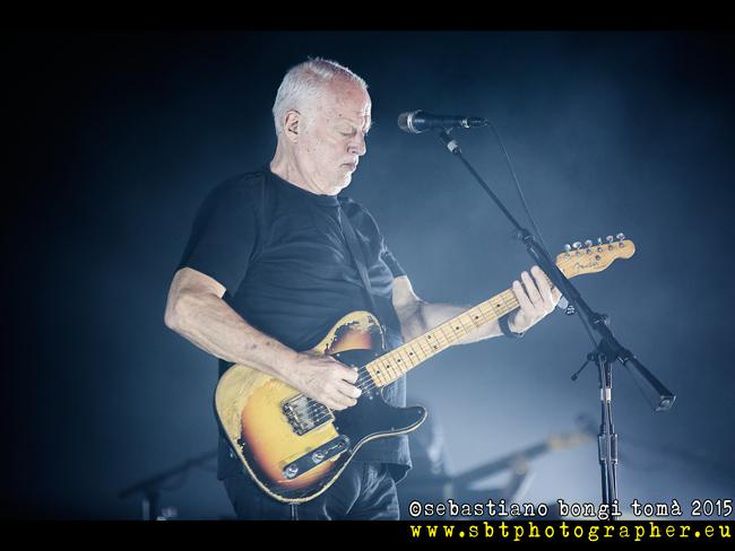 David Gilmour