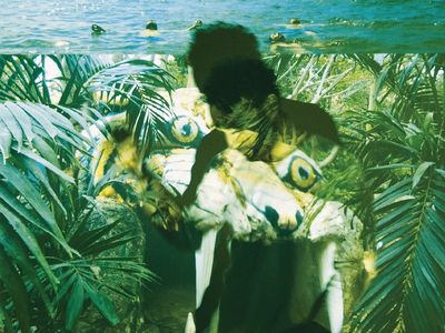 2013, Local Natives, Kendrick Lamar e Alt-J gli artisti più attivi dal vivo