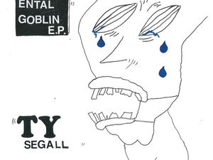 Ty Segall