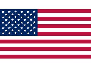 bandiera usa