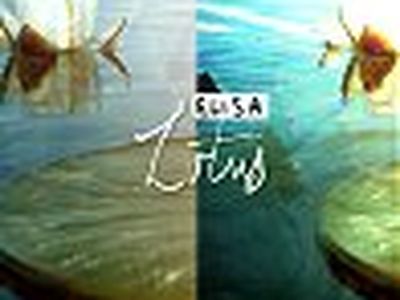LOTUS Elisa