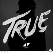 Avicii - TRUE